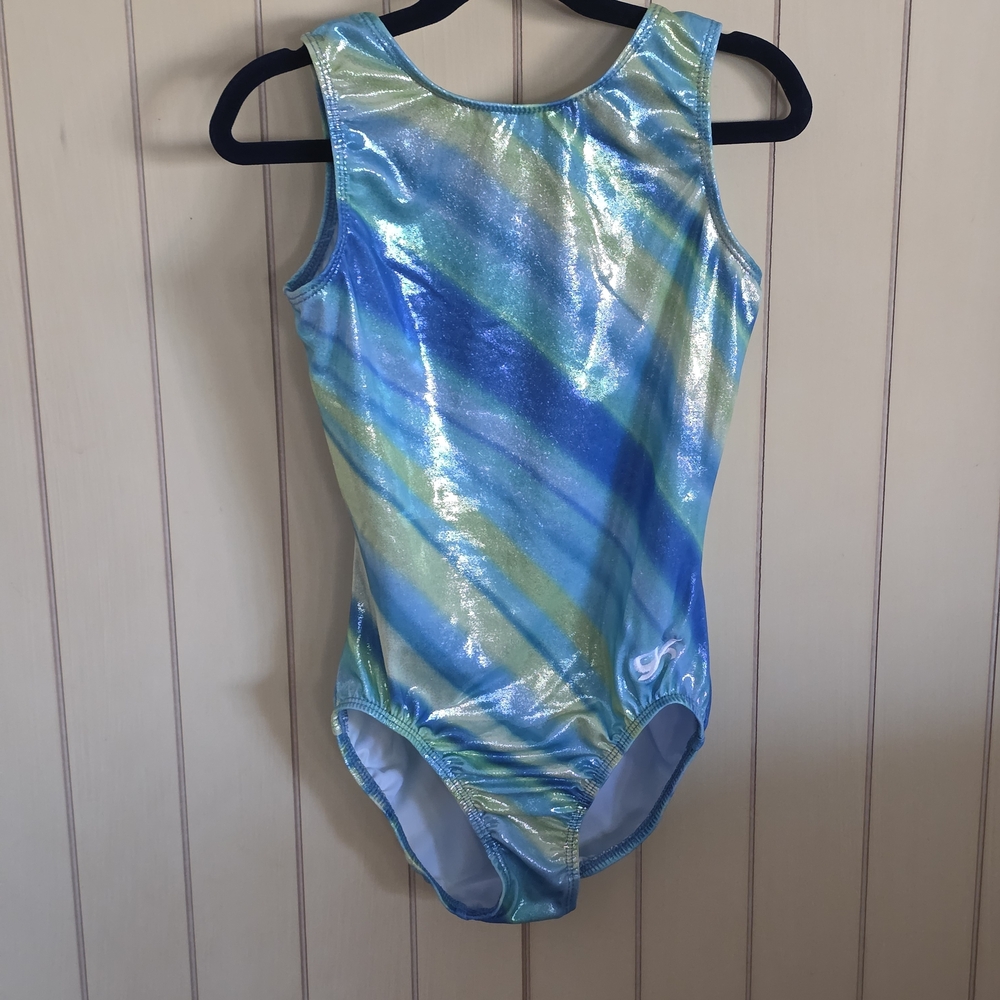 GK Shimmering Blue and Green Leotard